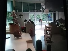-飞行喵MR PILOT|猫舍·猫咖(静安大融城店)