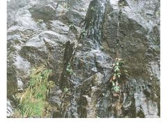 -萍乡武功山风景名胜区