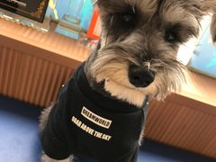 -芭比堂动物医院·犬猫全科·异宠专科(雁塔分院)