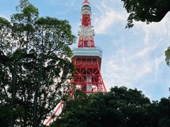 -六本木新城展望台(东京城市景观)