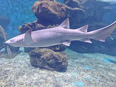 -多彩贵州城极地海洋世界