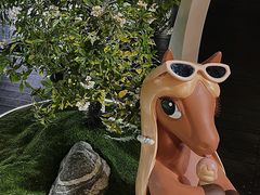 -深圳湾万象城(南山店)