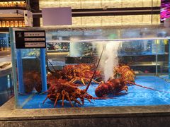 -上和臻品中国菜(花园街店)