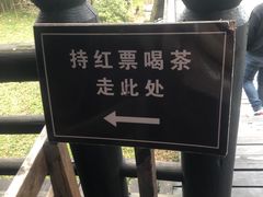 -大唐贡茶院