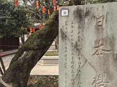 -方岩风景区