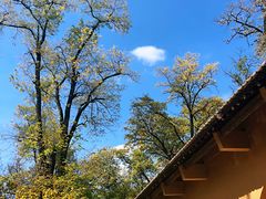 -延安杨家岭革命旧址