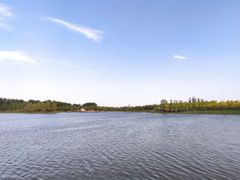 -东郊湿地公园