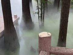 -东湖落雁景区