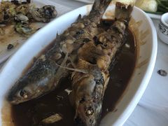 -渔民船说·北塘海鲜·天津菜·海肠捞饭(北塘古镇店)