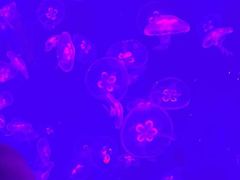 -沈阳海洋探索中心