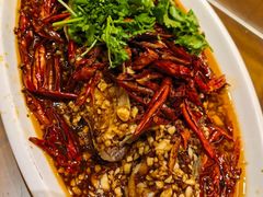 -光辉公鸡馆(事业小区店)