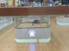 -北京华联购物中心(天通苑店)