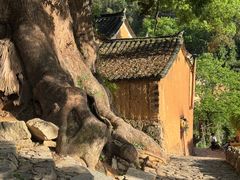 -杨家堂村