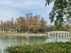 -四海公园(南山区)