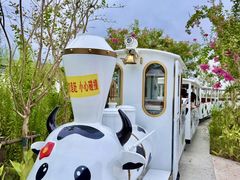 -杭州湾海上花田景区