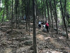 -天鹿湖森林公园