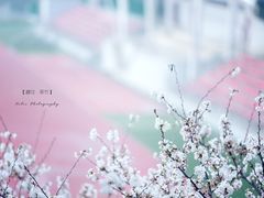 s_jpg_8e6bef36jw1e2trqzpf1sj-南京农业大学(浦口校区)