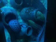 -太平洋海底世界