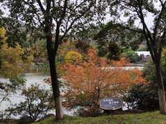 -白马涧龙池景区