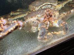 大堂-鱼乐轩海鲜专门店