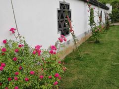 -龙湖东院农庄(乡间小路店)