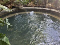 -荷花温泉