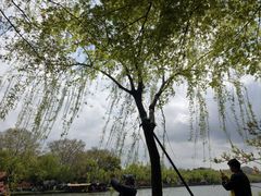 -西湖天地