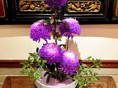 -山水茶艺馆·点心粤菜·30年老字号