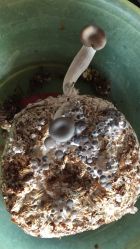 -艾维庭美容纤体SPA