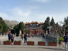 -中岳庙