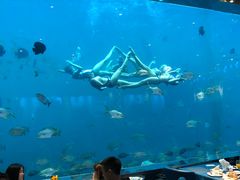 -瑞德姆美人鱼海底演艺主题餐厅(亚龙湾店)