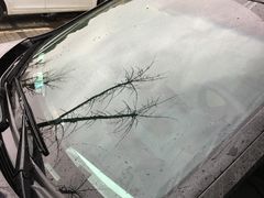 -车艺尚上海龙膜隐形车衣汽车贴膜旗舰店