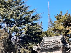 -湛山寺