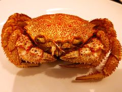 -宁波逸东豪生大酒店·豪生咖啡厅