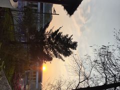 -白云湖畔酒店-湖畔餐厅