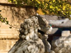 -北京石刻艺术博物馆(五塔寺)