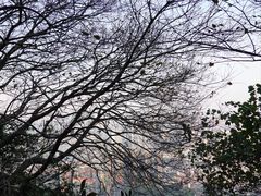 -小南山公园