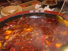 -矮板凳老火锅(宽窄巷子店)