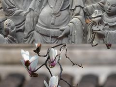 -豫园