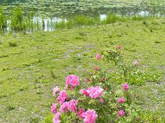 -长春市南湖公园