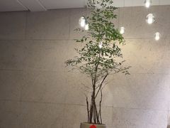 -王府茶楼茶宴·创意菜(大观园总店)