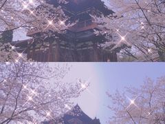 -西安青龙寺遗址景区