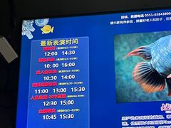 -合肥海洋世界