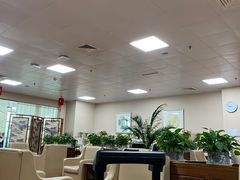 -桃仙机场头等舱休息室