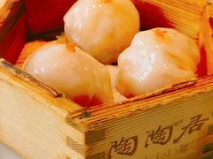 陶陶居大虾饺-陶陶居酒家(SM二期购物广场店)