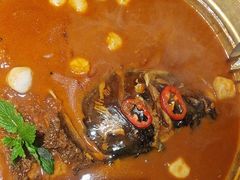 -解家河南菜(金水路店)