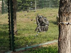 -石家庄市动物园