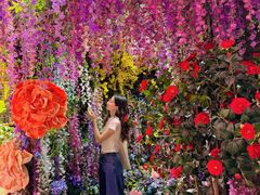 -正佳雨林生态植物园