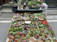 -苏州市皮市街花鸟工艺品市场