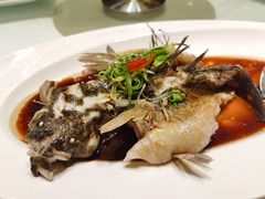 -唐宫海鲜舫